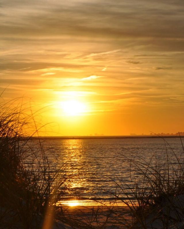 Come experience a sunset cruise with Coastal Marsh Adventures here in North Myrtle Beach! What sets us apart from other sunset cruise charters? We’ll come pick you up from your water side restaurant! Head over to our website to book your sunset cruise (and don’t miss the $50 off deal we’ve got going right now! ) 

#SunsetCruise #NorthMyrtleBeach #MyrtleBeachVacation #Sunset #FishingCharters #MyrtleBeachSc #RomanticSunset