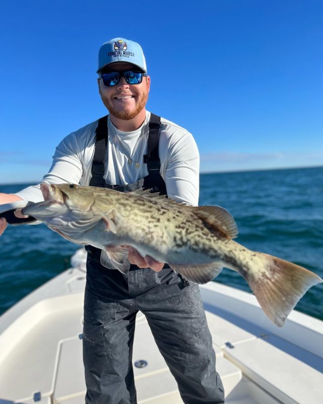 📆 Today marks the start of grouper season! This 6 week long season is an exciting time for those who love this fish, and it runs from May 1st to June 15th.

🎣Grouper is best caught by bottom fishing with live bait such as cigar minnows and squid. 🦑 

📍They are usually found around deep water rock piles, 
ledges, wrecks and artificial reefs. 

Will you be making it out onto the water to catch this delicious and popular fish? 🐟

#Grouper #GrouperFishing #FishingCharter #grouperfish #NorthMyrtleBeach #MyrtleBeach #myrtlebeachfishing #MyrtleBeachCharter #BeachFishing #SouthCarolina #southcarolinawater
