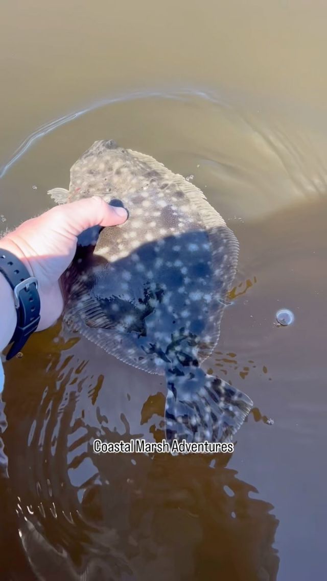 A little catch and release for our flounder friend here—they’re starting to bite, and we’re ready for them! Come enjoy some South Carolina fishing done right with us at Coastal Marsh Adventures! Book a charter or sunset cruise, and discover the best adventures Myrtle Beach has to offer. 🎣

#MyrtleBeach #FishingCharters #LittleRiverSC #Flounder #FlounderFishing #SouthCarolinaFishing #CoastalMarshAdventures #northmyrtlebeachsc